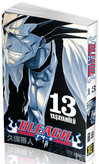 Picture of Bleach 13. Cilt