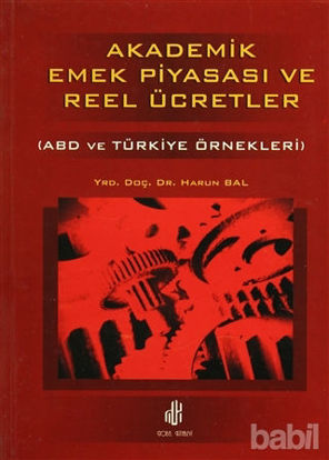 Picture of Akademik Emek Piyasası ve Reel Ücretler - ABD ve Türkiye Örnekleri