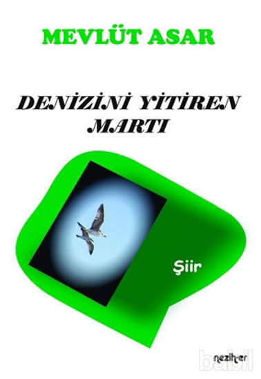 Picture of Denizini Yitiren Martı