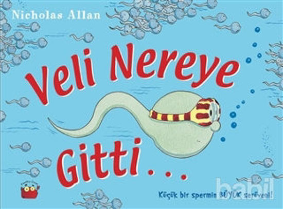 Picture of Veli Nereye Gitti
