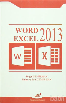 Picture of Word Excel 2013