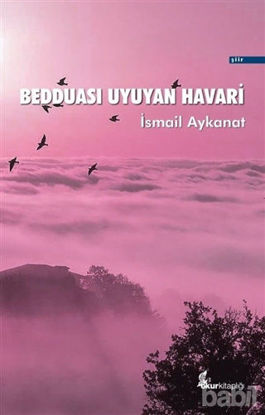 Picture of Bedduası Uyuyan Havari