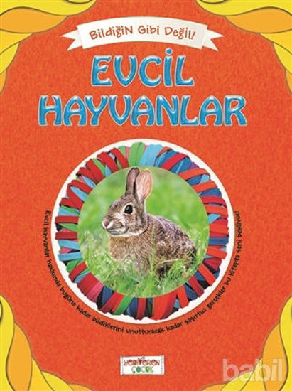 Picture of Bildiğin Gibi Değil - Evcil Hayvanlar