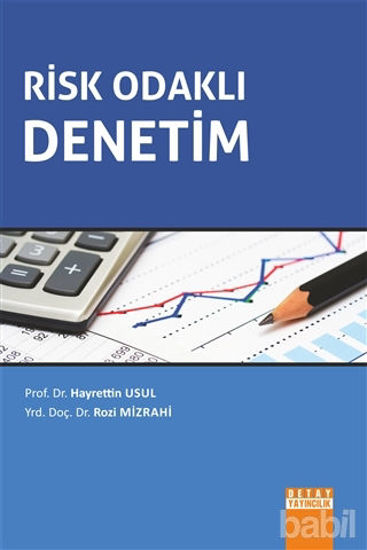 Picture of Risk Odaklı Denetim