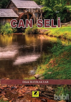 Picture of Can Seli