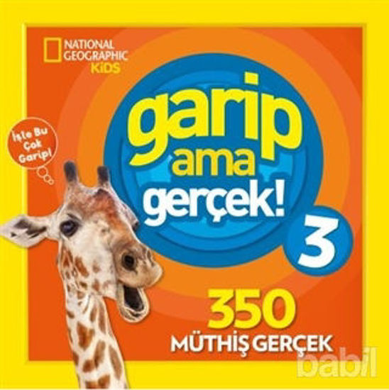 Picture of Garip Ama Gerçek 3