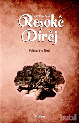 Picture of Reşoke Direj