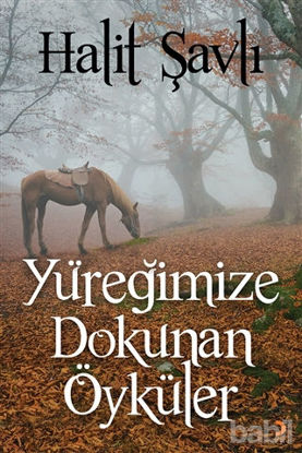 Picture of Yüreğimize Dokunan Öyküler