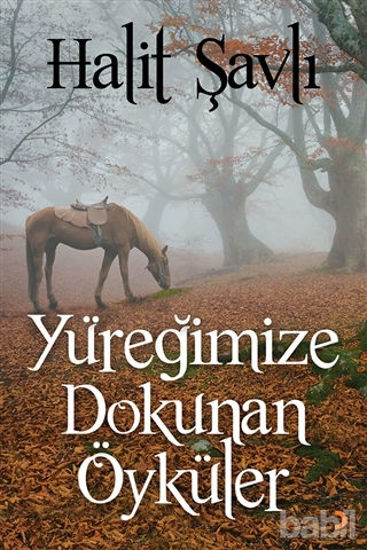 Picture of Yüreğimize Dokunan Öyküler