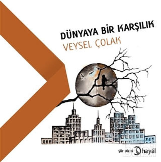 Picture of Dünyaya Bir Karşılık