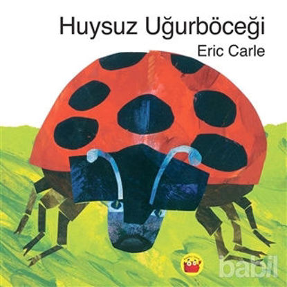 Picture of Huysuz Uğurböceği