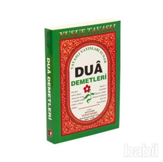 Picture of Dua Demetleri (C17)