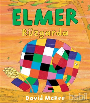 Picture of Elmer Rüzgarda