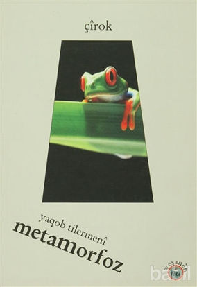 Picture of Metamorfoz