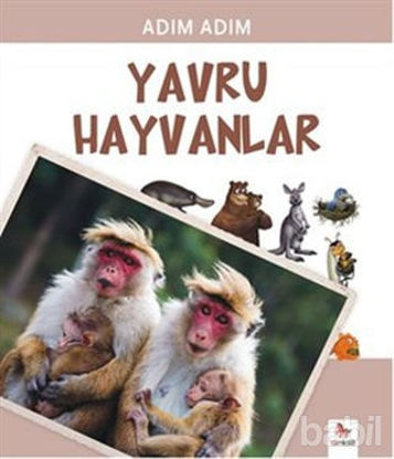 Picture of Yavru Hayvanlar