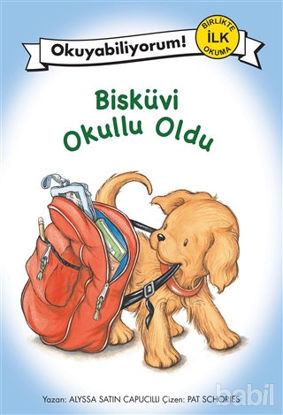 Picture of Bisküvi Okullu Oldu
