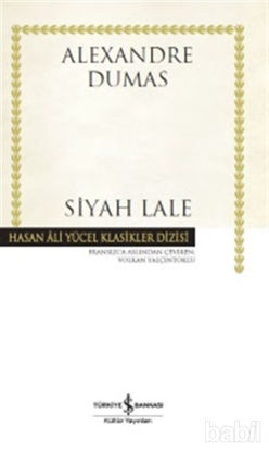 Picture of Siyah Lale
