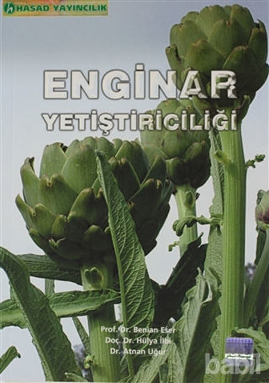 Picture of Enginar Yetiştiriciliği