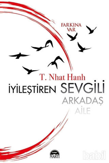 Picture of İyileştiren Sevgili