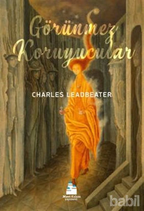 Picture of Görünmez Koruyucular