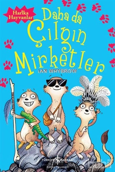 Picture of Daha da Çılgın Mirketler