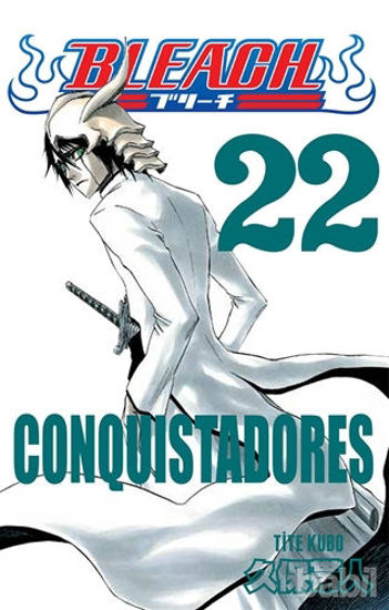 Picture of Bleach 22. Cilt