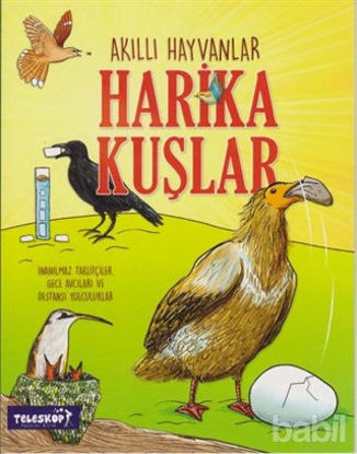 Picture of Harika Kuşlar
