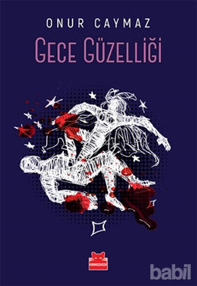 Picture of Gece Güzelliği
