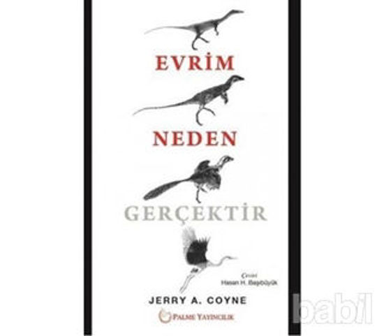 Picture of Evrim Neden Gerçektir