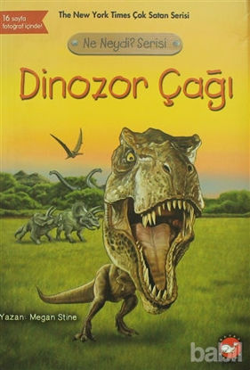 Picture of Dinozor Çağı - Ne Neydi? Serisi