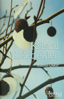 Picture of Kristal Kelebekler