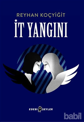 Picture of İt Yangını