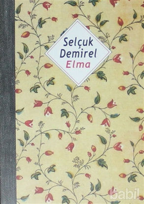 Picture of Elma (Defter)