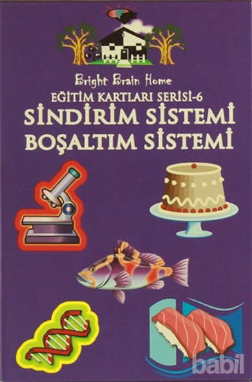 Picture of Sindirim Sistemi, Boşaltım Sistemi - Eğitim Kartları Serisi 6