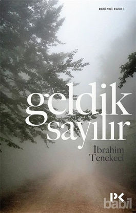 Picture of Geldik Sayılır