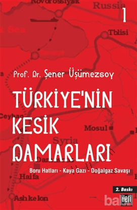 Picture of Türkiye’nin Kesik Damarları - 1