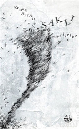 Picture of Saklı Şiirler