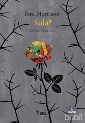 Picture of Sula