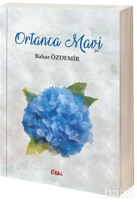 Picture of Ortanca Mavi