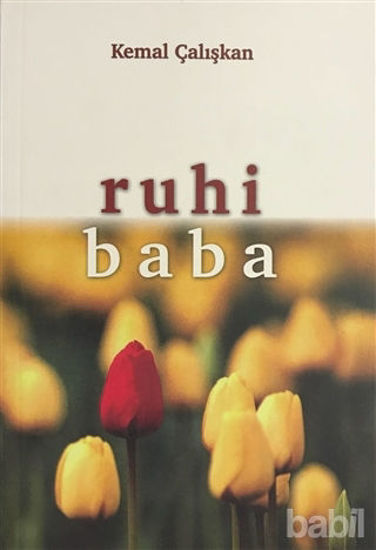 Picture of Ruhi Baba