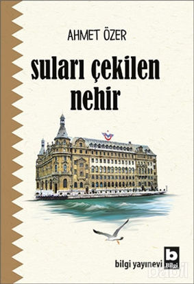 Picture of Suları Çekilen Nehir