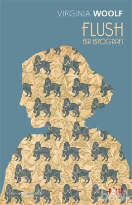 Picture of Flush - Bir Biyografi