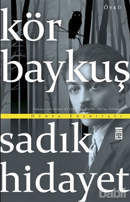 Picture of Kör Baykuş