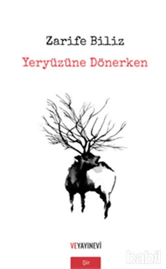Picture of Yeryüzüne Dönerken