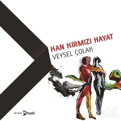 Picture of Kan Kırmızı Hayat