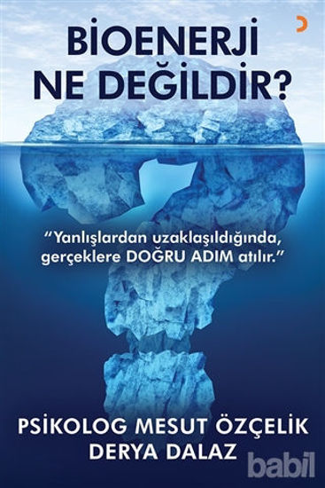 Picture of Bioenerji Ne Değildir?