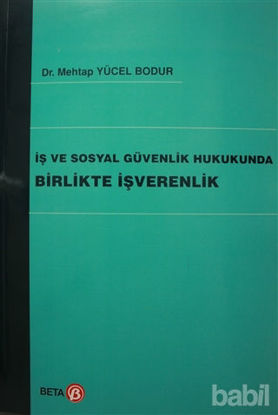 Picture of İş ve Sosyal Güvenlik Hukukunda Birlikte İşverenlik