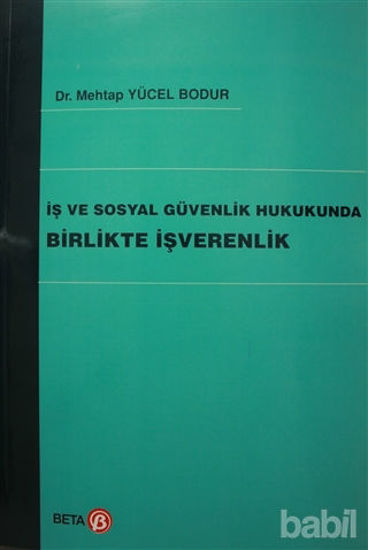 Picture of İş ve Sosyal Güvenlik Hukukunda Birlikte İşverenlik