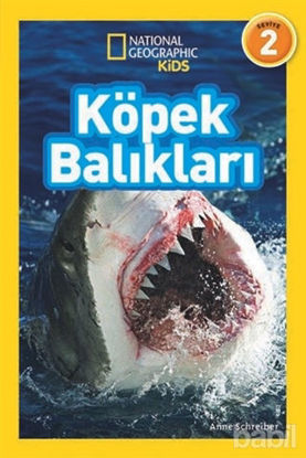 Picture of Köpek Balıkları (Seviye 2)