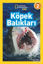 Picture of Köpek Balıkları (Seviye 2)